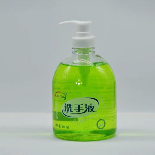 佰芳源500ml芦荟精油洗手液  洗手液 芦荟洗手液 小瓶洗手液清洁保湿 商品图2
