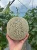 日本品种 牛三蜜瓜 玫珑瓜2-4只原箱装网纹甜瓜蜜瓜日本静冈哈密瓜 商品缩略图6