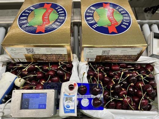 塔斯马尼亚HANSEN车厘子 商品图4