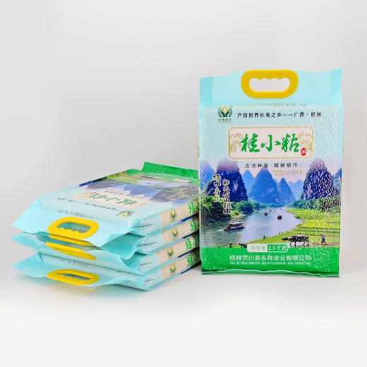 桂柳~桂小粘 商品图0