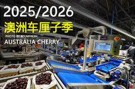 塔斯马尼亚HANSEN车厘子