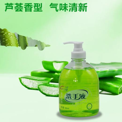 佰芳源500ml芦荟精油洗手液  洗手液 芦荟洗手液 小瓶洗手液清洁保湿 商品图1