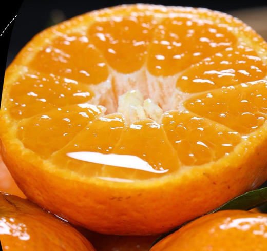 有机荔浦砂糖桔5斤 商品图3