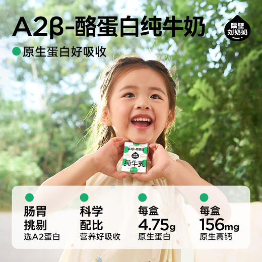 分销【妈咪OK】隔壁刘奶奶重磅新品🔥🔥🔥A2β酪蛋白mini奶乳糖不耐受的宝宝有福了！🔥亲和肚肚好吸收mini奶 商品图2