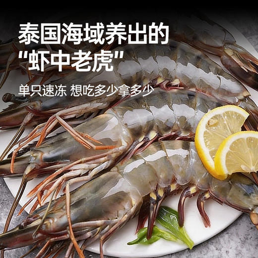 【渔礼记泰国活冻黑虎虾礼盒】壳薄肉嫩 晶莹剔透原装级品质大虾（2.5斤）（下单后3-4天发货） 商品图1
