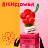 RICH FLOWER 有钱花 毛绒挂件 红色 mini 创意摆件招财礼品送礼送女友节日 商品缩略图4
