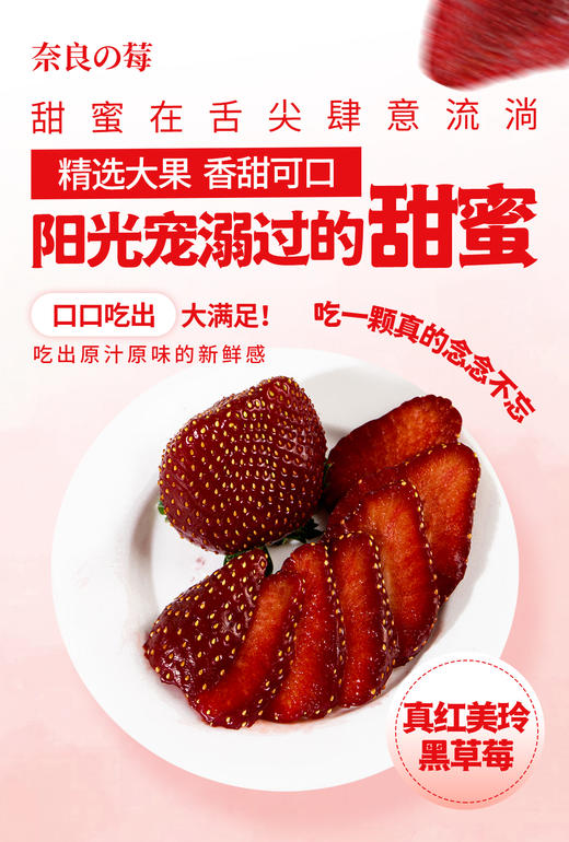 真红美玲黑草莓 商品图5