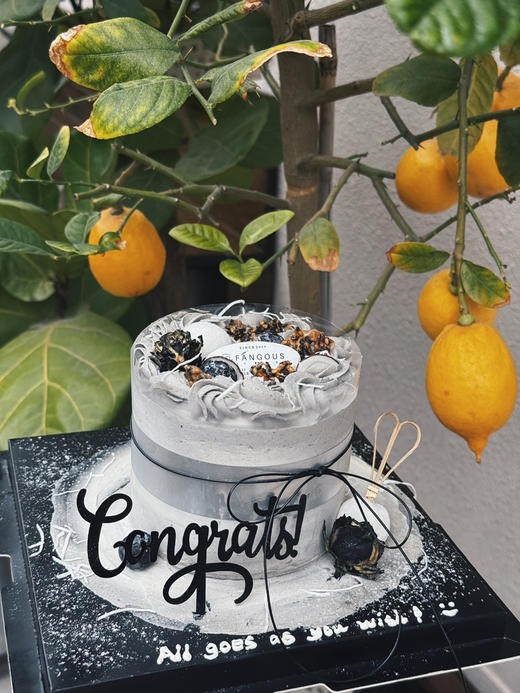 冬芝奏章 商品图9