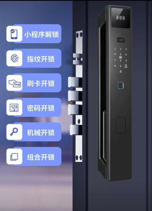 【萨莱明】智能锁_密码·指纹·卡片·人脸·手机·钥匙6种开锁方式_R50D【佛山】【存量】 商品图2