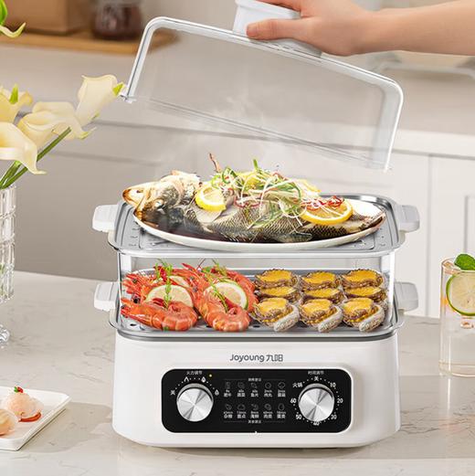 九阳电蒸锅16L电蒸锅DZ150HG-GZ616 商品图0