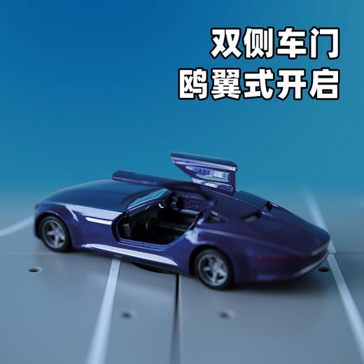 SIKU VISION梅赛德斯-迈巴赫6 SKUC2366 商品图2