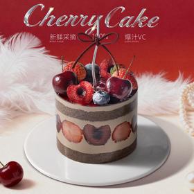 4英寸车厘子动物奶油分享蛋糕4选1