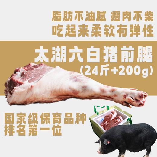 【直送到家】太湖六白猪(前腿)24斤+200g 鲜肉冷链 ，脂肪不油腻，瘦肉不柴，吃起来柔软有弹性 商品图0
