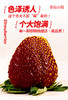 真红美玲黑草莓 商品缩略图2