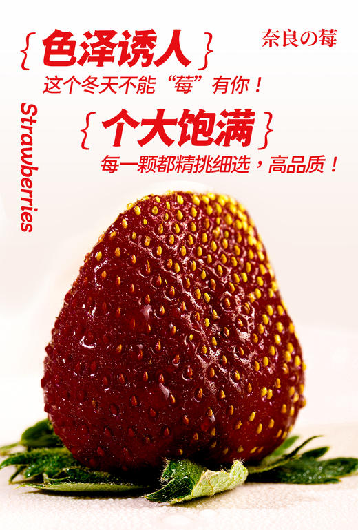 真红美玲黑草莓 商品图2