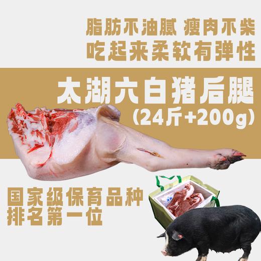 【直送到家】太湖六白猪(后腿)24斤+200g 鲜肉冷链 ，脂肪不油腻，瘦肉不柴，吃起来柔软有弹性 商品图0