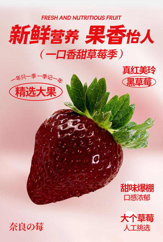 真红美玲黑草莓 商品图8