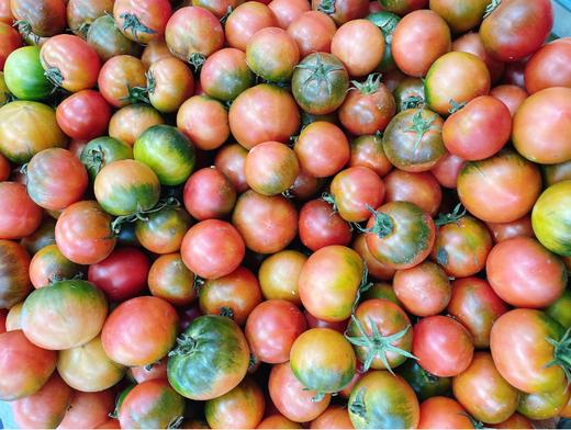 草莓柿子2斤 商品图0