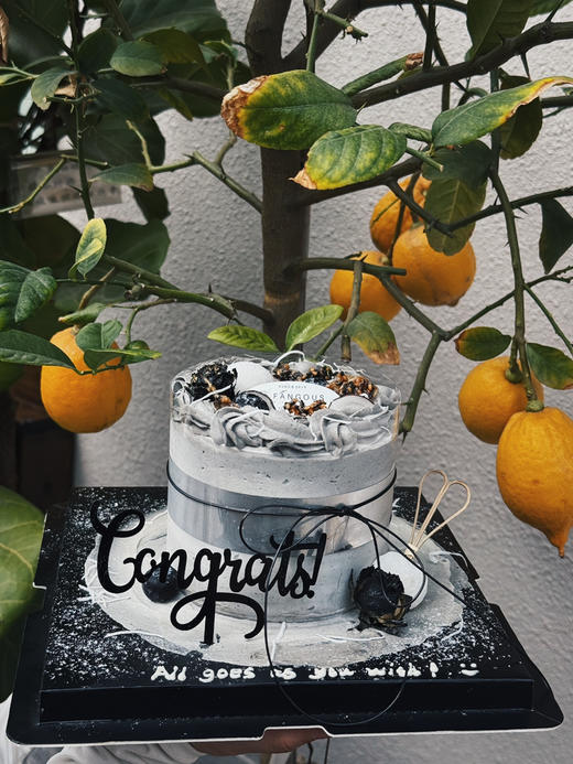 冬芝奏章 商品图4