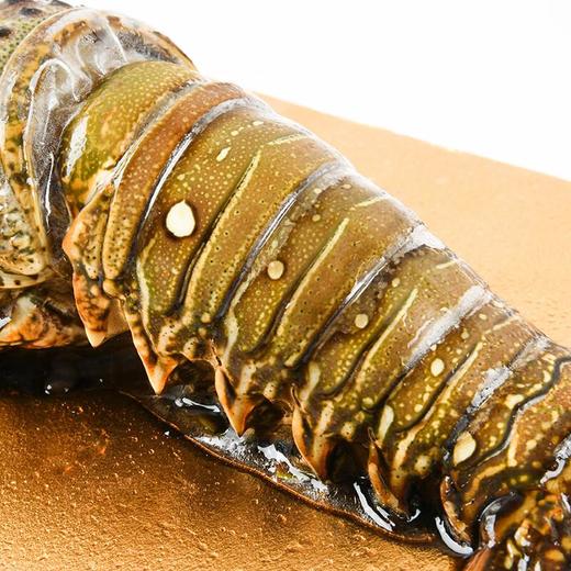 古巴龙虾300g/盒 龙运当头龙虾礼盒 商品图4