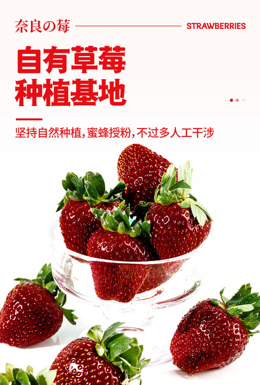 真红美玲黑草莓 商品图1