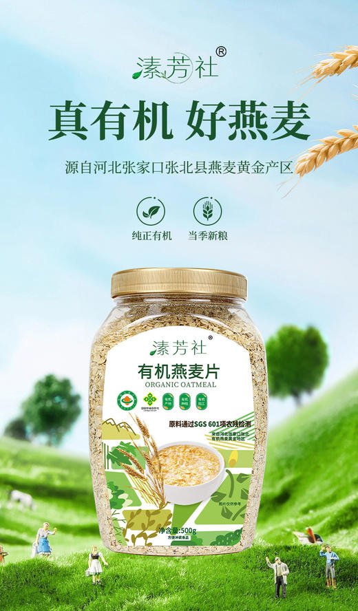 有机燕麦片，片大饱满，整粒压制 商品图0