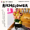 RICH FLOWER 有钱花 SMILEY联名版 30CM 商品缩略图2