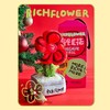 RICH FLOWER 有钱花 毛绒摆件 定番红 20CM 桌面摆件客厅装饰毛绒玩具公仔 商品缩略图3