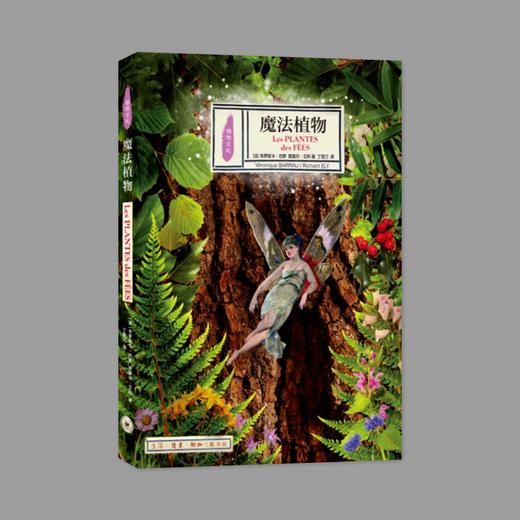 (X)魔法植物 商品图1