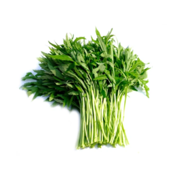 带叶芦蒿400g 单份  ±20g 买放心菜就上瑞和泰