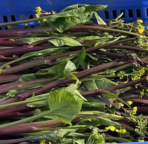 生态红菜苔 | 绿家自产 * Ecological red choy sum | In-House Production 商品图4