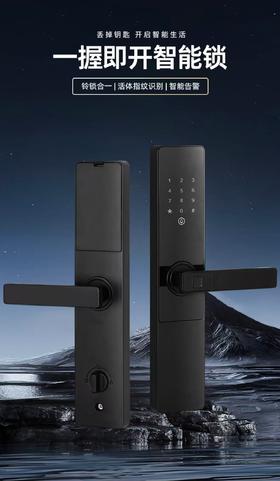 【萨莱明】智能锁_密码·指纹·卡片·钥匙44种开锁方式_V26A【佛山】【存量】