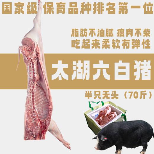 【直送到家】太湖六白猪(半只)70斤 分割装 鲜肉冷链 ，脂肪不油腻，瘦肉不柴，吃起来柔软有弹性 商品图0