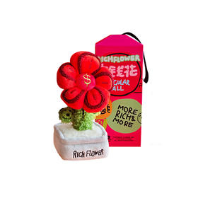 RICH FLOWER 有钱花 毛绒摆件 定番红 20CM 桌面摆件客厅装饰毛绒玩具公仔