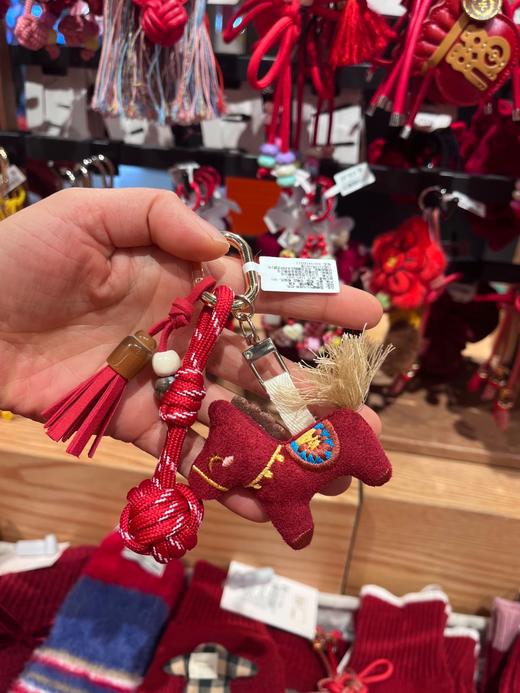 番茄红韵系列挂饰 商品图3