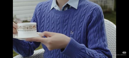 宋佳同款秋日穿搭来啦！ HAZZYS 三色绞花毛衣 商品图7