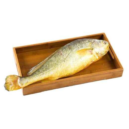 深水大黄鱼900-1000g/条（礼袋装）【冷冻】 商品图2