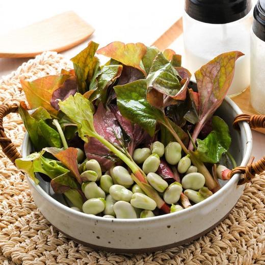 胡豆折耳根组合（大） 约200g/份 商品图0