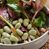 胡豆折耳叶组合(小)  约100g/份 商品缩略图0