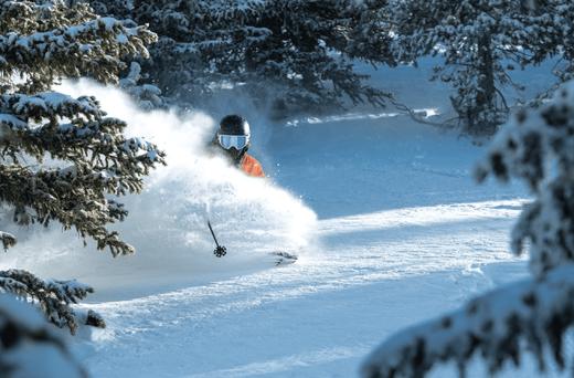 3.15-3.21美国犹他州 · Snowbird 春雪封板滑雪 7 日 商品图1