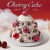 4英寸车厘子动物奶油分享蛋糕4选1 商品缩略图3