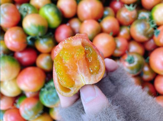 草莓柿子2斤 商品图1