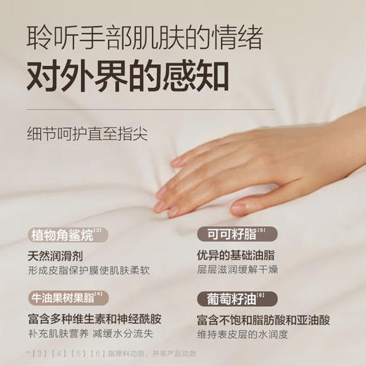 【分仓直发包邮】柏缇花茶香氛护手霜四件套50g*4 商品图1