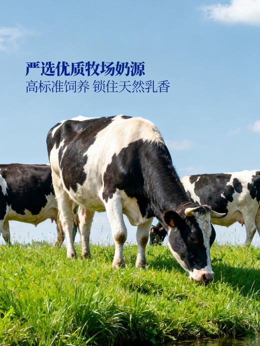 【自提】M 高钙原味风味酸奶 1.8kgX2 商品图3