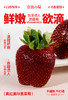 真红美玲黑草莓 商品缩略图6