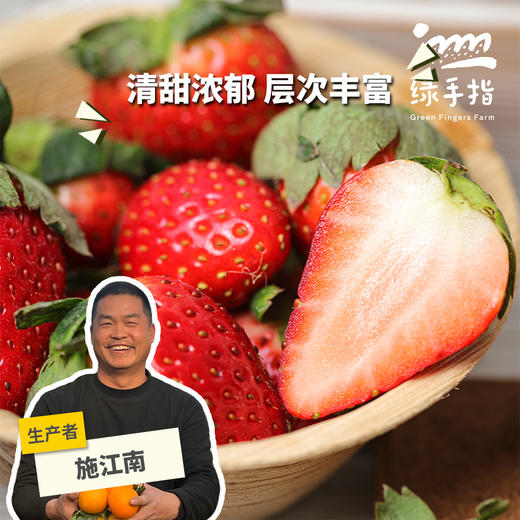 生态浙江草莓【买一送一，5折优惠，3-5天左右发货】| 合作生产*Ecological strawberry | Partner Production 商品图0