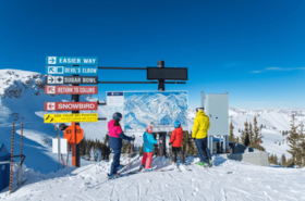 3.15-3.21美国犹他州 · Snowbird 春雪封板滑雪 7 日