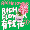 RICH FLOWER 有钱花 毛绒摆件 30CM 粉色 毛绒桌面摆件客厅装饰生日新年礼物送礼礼品 商品缩略图2