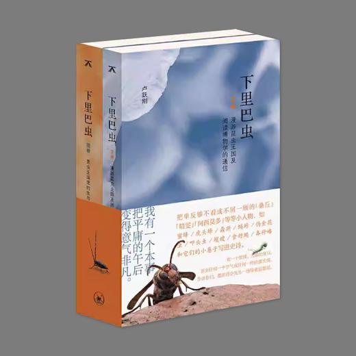 (X)下里巴虫 商品图0