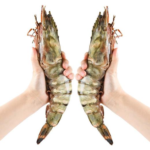 巨型野生斑节虾 450g/盒【冷冻】 商品图2